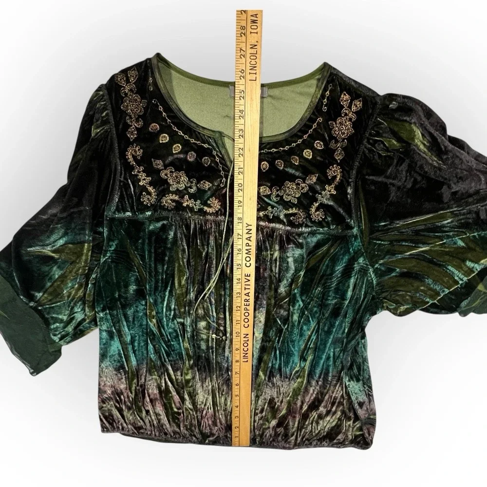 Roz & Ali Iridescent Green Velvet Top Embroidered Dark Fairy Whimsigoth Womens L